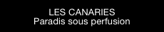 LES CANARIES
Paradis sous perfusion
